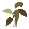 third decor element